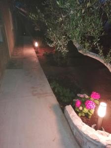 波利亚纳Apartment Pradini的花园,有两盏灯和鲜花