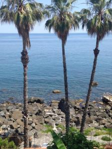 阿茨特雷扎卡瓦拉罗别墅度假屋的一片岩石海滩上的三棵棕榈树