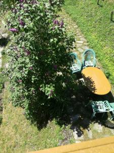 帕尔福Fuchsbauernhof的两把长椅,坐在一个布满紫色花的灌木丛旁边