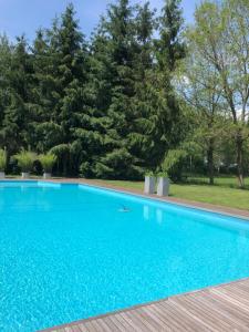 哈弗尔特B&B Otterstee的一座绿树成荫的蓝色游泳池