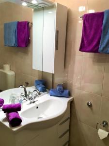 VernamiègeLa Chaumière d'Hérens的浴室配有水槽、镜子和紫色毛巾