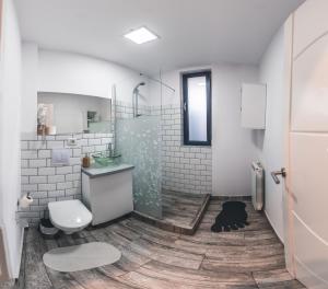 克拉约瓦Teodoroiu nr. 5的带淋浴、卫生间和盥洗盆的浴室