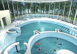 斯帕Luxury Spa Hotel - Ardennes的一座大型游泳池,里面的人都沉浸在水中