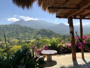 埃尔扎伊诺Moon Wind Tayrona Hostel by Rotamundos的山脚下庭院的长凳