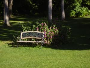 Cléres玛艾特农庄酒店的坐在花边草上的公园长凳