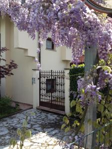 贝卢诺B&B Piccole Dolomiti的紫色花房前门
