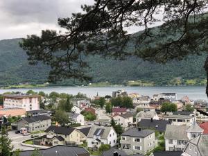 翁达尔斯内斯Åndalsnes Luxury Stay - Full Apartment的河镇和房屋城镇