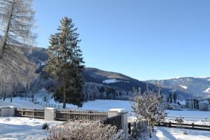 布鲁尼科Apartment Lukas Huber的雪中带湖泊和山脉的围栏