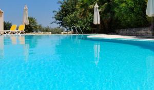 特雷莫西内米拉拉戈酒店的一个带椅子和遮阳伞的大型蓝色游泳池