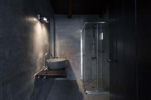 索吉亚Monastery Estate Guesthouse的一间带水槽和淋浴的浴室