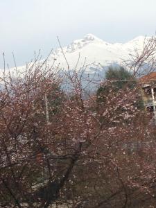 比耶拉A casa di Antonella的远处的雪覆盖的山,树木覆盖