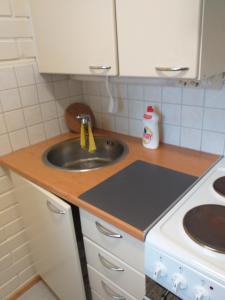 MuuruvesiHuoneistohotelli Teekki的厨房配有水槽和台面