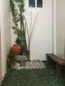 DaetMIRASOL Residences的长凳和植物的房间角落