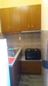 斯科派洛斯Stoudios galini的一间带水槽和微波炉的小厨房