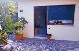加尔多内-里维耶拉Stanza privata Oleandro的窗户前有两株盆栽植物的房子