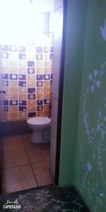 利马La Casa del Che Fernando的一间带卫生间和绿色墙壁的浴室