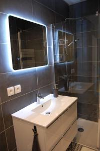 La RochettePETIT GITE EN BRACONNE的一间带水槽和镜子的浴室