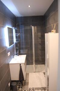 La RochettePETIT GITE EN BRACONNE的带淋浴、卫生间和盥洗盆的浴室