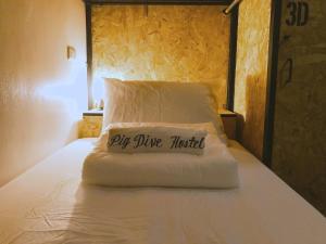 莫阿尔博阿Pig Dive Hostel Moalboal的枕头上放着“飞酒”的词句,酒店坐在床上