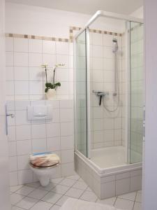 Klein ZickerLuett Westen - 300m vom Strand的带淋浴、卫生间和盥洗盆的浴室