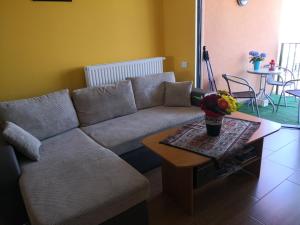 米兹多洛杰Apartament Sova的客厅配有沙发和桌子