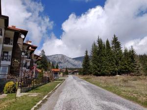 斯莫梁Iv Apartment in The Wonderful Rhodope Mountain的山村里一条空的路