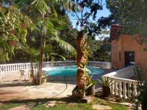 皮雷诺波利斯Sítio Primavera的游泳池旁的棕榈树