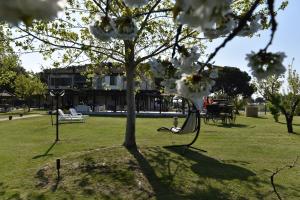 格罗塞托港伊莎贝拉别墅酒店的公园里一棵花白的树