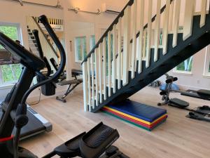 甘奇斯Wetherly Inn & Spa的健身房设有跑步机和带健身器材的楼梯