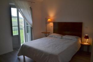 蒙泰普兰多内B&B Casale Fonte Vecchia的一间卧室设有一张床和一个大窗户