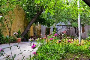 戈里斯Narek B&B的一座种有粉红色花卉和围栏的花园