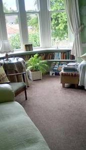 阿尼克Aydon House的客厅设有书架和窗户。