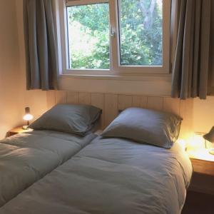 登堡Bungalow Groen的卧室设有两张床,带两个窗户