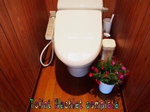 屋久岛Yakushima Cottage Kukai的一间带卫生间的浴室和两朵鲜花
