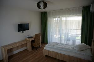 Sasca RomânăPensiunea Patru Anotimpuri的一间卧室配有一张床、一台电视和一个窗口