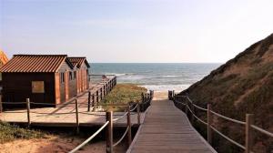 奥霍斯德古阿Falésia Beach Villa的通往海滩上一座建筑的木板路