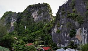 爱妮岛Laule'a Hostel的山前有村庄