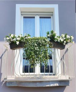 西尔米奥奈Romantic Home的阳台上的窗户,上面有两盆植物