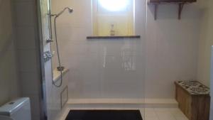 图尔奈Villa Tournesol的带淋浴和卫生间的浴室