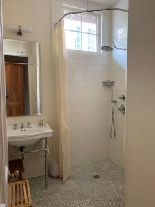 新奥尔良Terrell House Bed and Breakfast的一间带水槽和淋浴的浴室