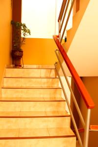 安达韦拉斯Hotel Conquistador的楼梯扶手和盆栽的楼梯
