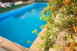 瓜迪克斯祖罗兰洞穴酒店的庭院里的一个蓝色海水游泳池