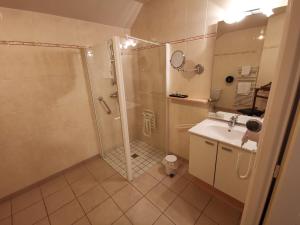 维尔奥蒙特Auberge Saint-Jean的带淋浴和盥洗盆的浴室