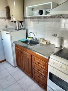 圣罗莎G&G DPTOS的厨房配有水槽和白色冰箱