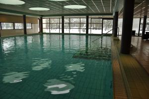 布克洛巴德布克洛度假酒店的水中人心的游泳池