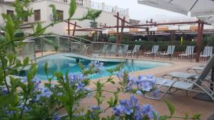 隆达斯晔喜多卡酒店的一座建筑前的游泳池,里面花满了蓝色的花