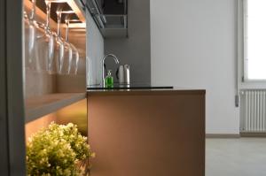 帕多瓦C-Apartment Zabarella terrace的厨房配有水槽和台面