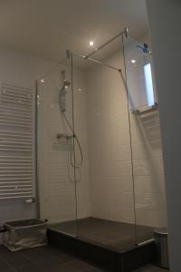 Eelderwoldewatervilla paterswoldsemeer的浴室里设有玻璃门淋浴