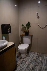 涛岛木府花园旅舍的浴室设有卫生间,上面有植物