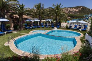 巴哈撒丁岛拉嘉恰度假酒店的棕榈树和椅子的度假村的游泳池